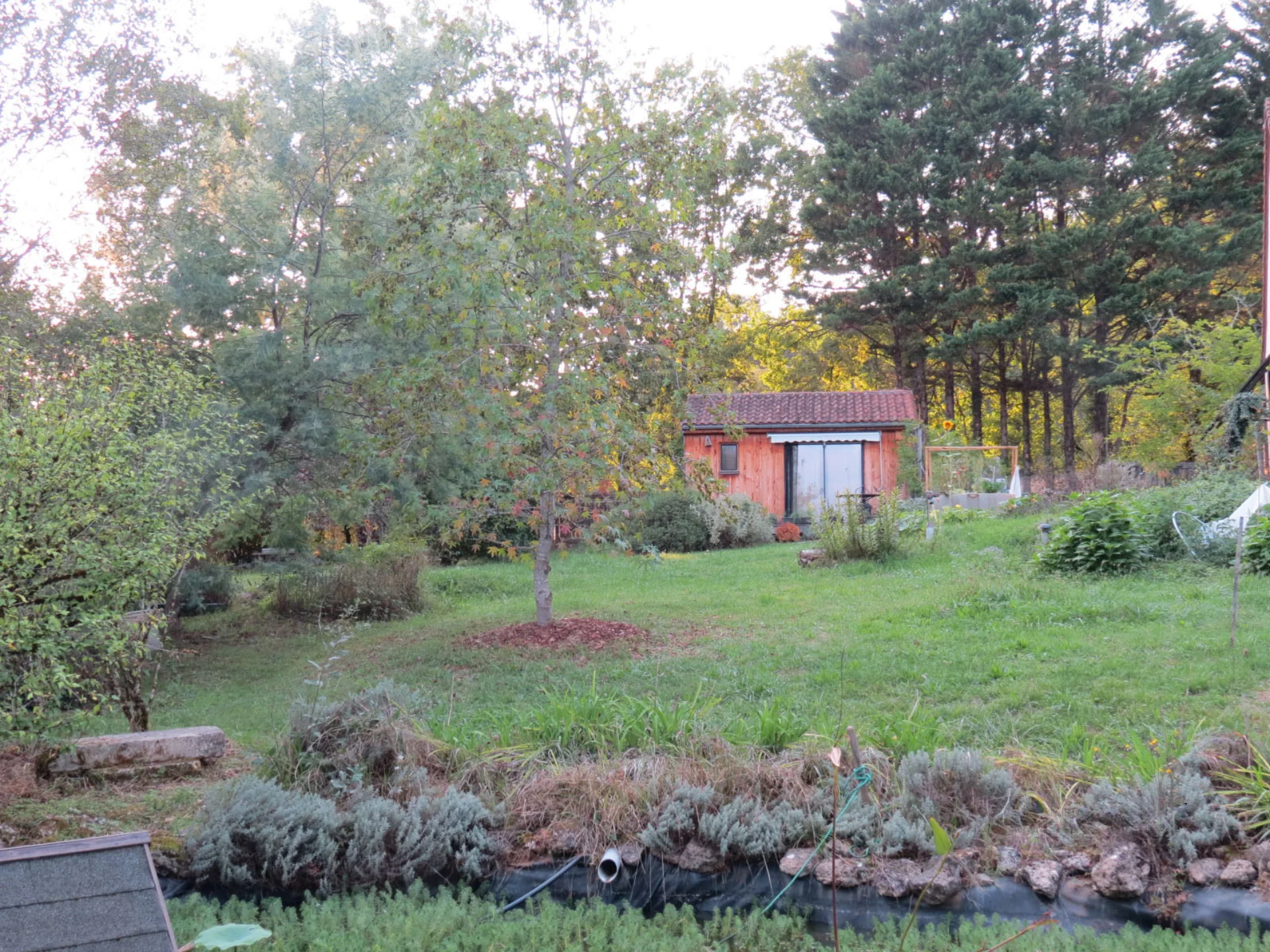 Jardin commun, biodiversité et permaculture