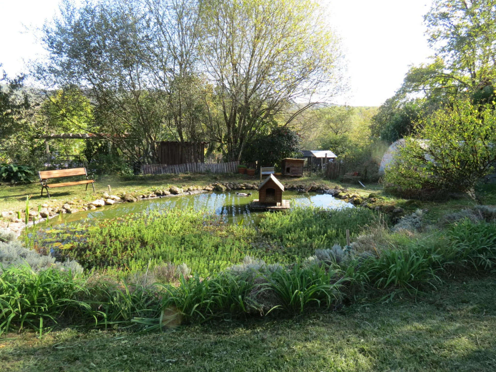 Jardin commun, biodiversité et permaculture
