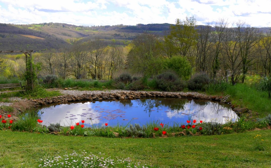 Association Lumière dans le Corps